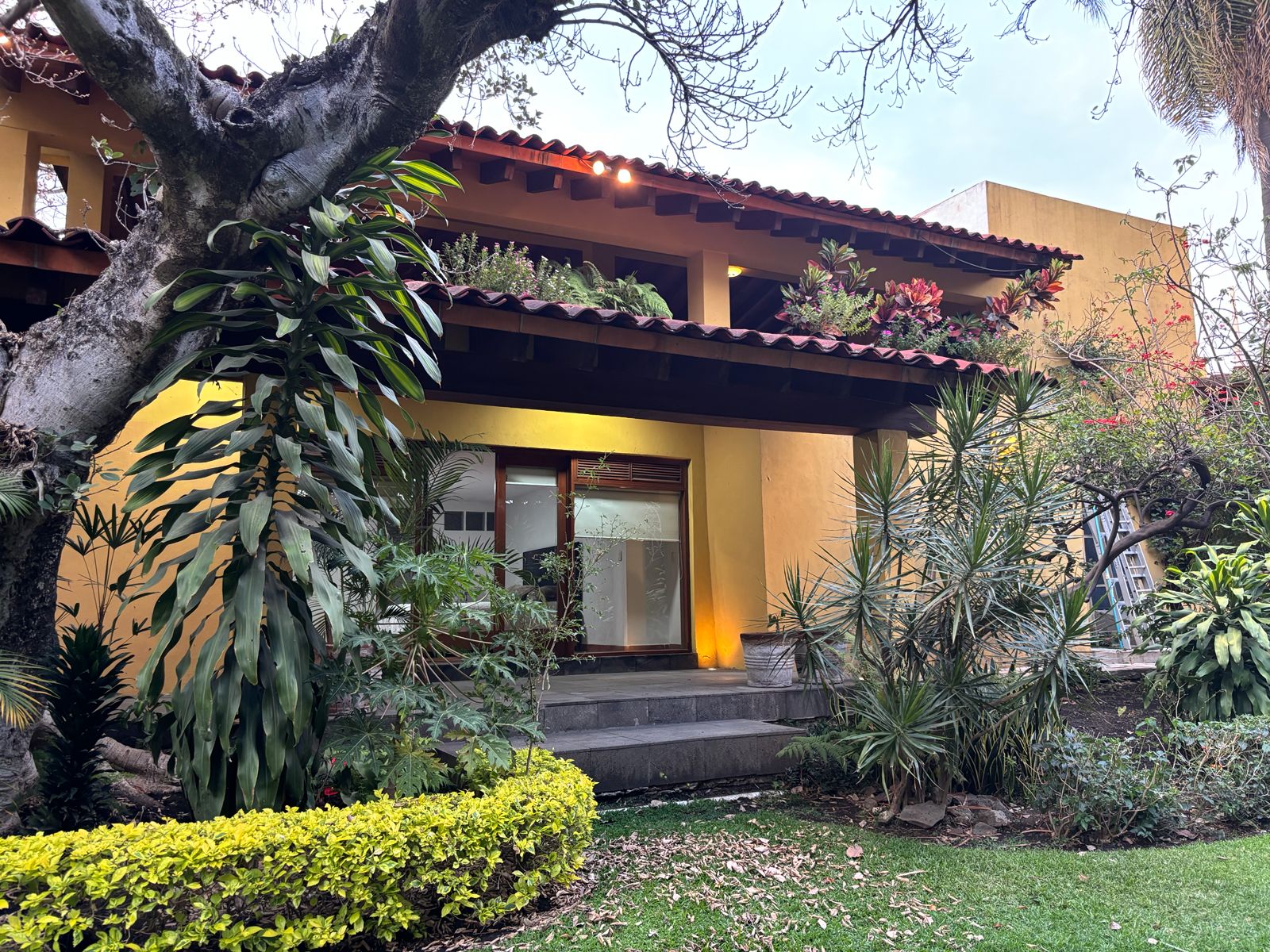 Casa de lujo whatsapp image 2026 07 02 at 3.44.50 pm (1)